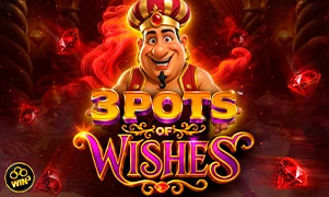 3 Pots of Wishesâ„¢